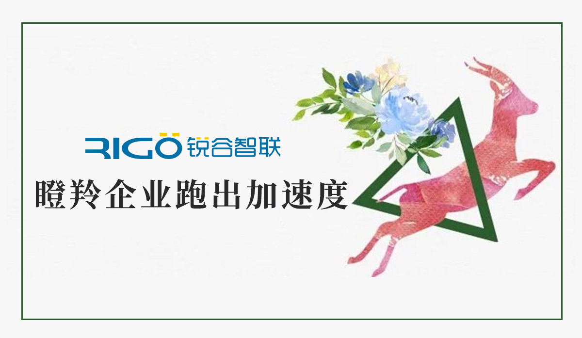 火炬高新區(qū)助力“瞪羚”企業(yè)跑出加速度，超半數(shù)分布廈門軟件園